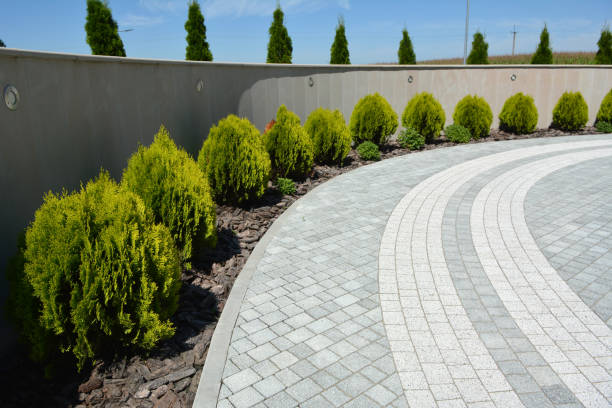 Best Best Driveway Pavers  in Rupert, ID